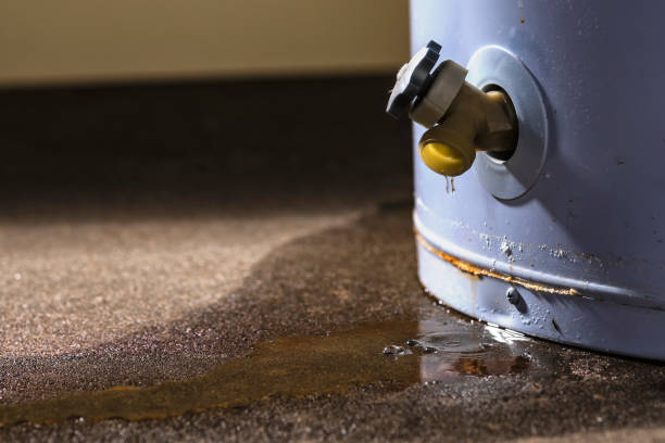 Best Water damage restoration company  in Trumbull Center, CT