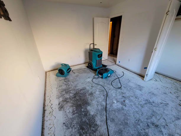 Best Sewage cleanup and water damage restoration  in Trumbull Center, CT