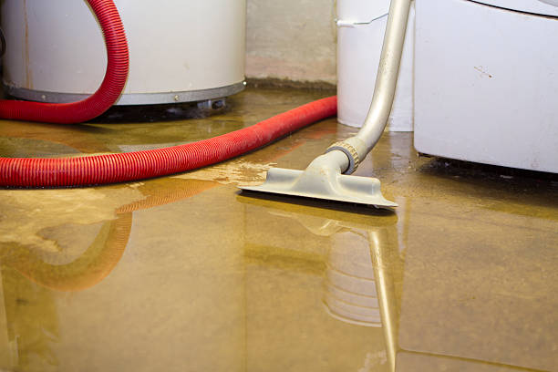 Best Water damage contractors near me  in Trumbull Center, CT