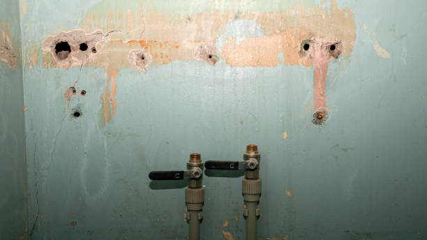  Trumbull Center, CT Water damage restoration Pros