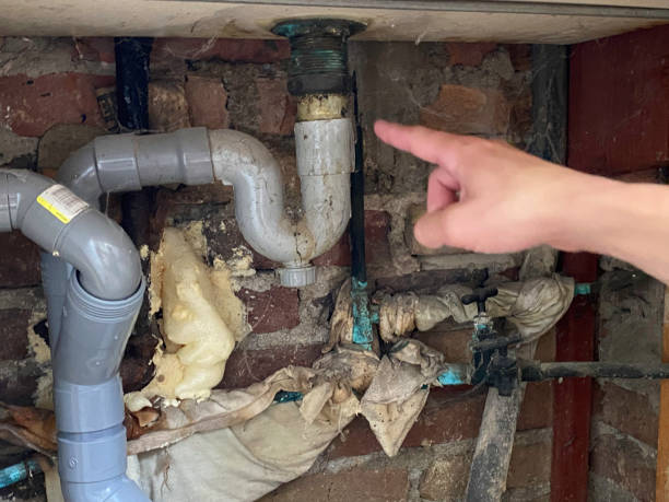 Best Water damage cleanup near me  in Trumbull Center, CT