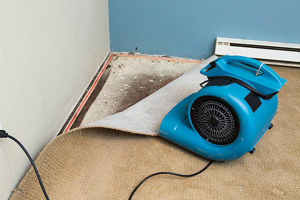 Best Water damage restoration near me  in Trumbull Center, CT